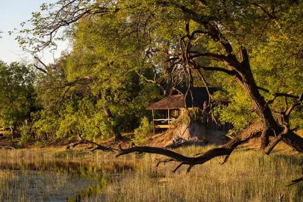 The Untamed Wilds: Exploring the Untouched Beauty of Savuti and Linyati
