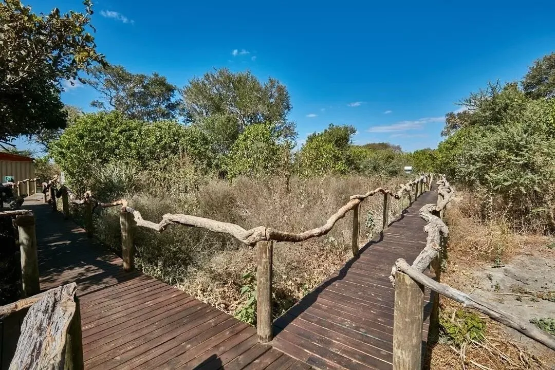 Xaoo Safari Camp