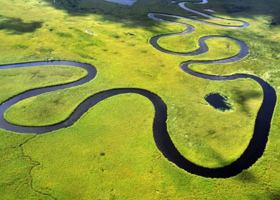 The Okavango Delta: Nature’s Oasis