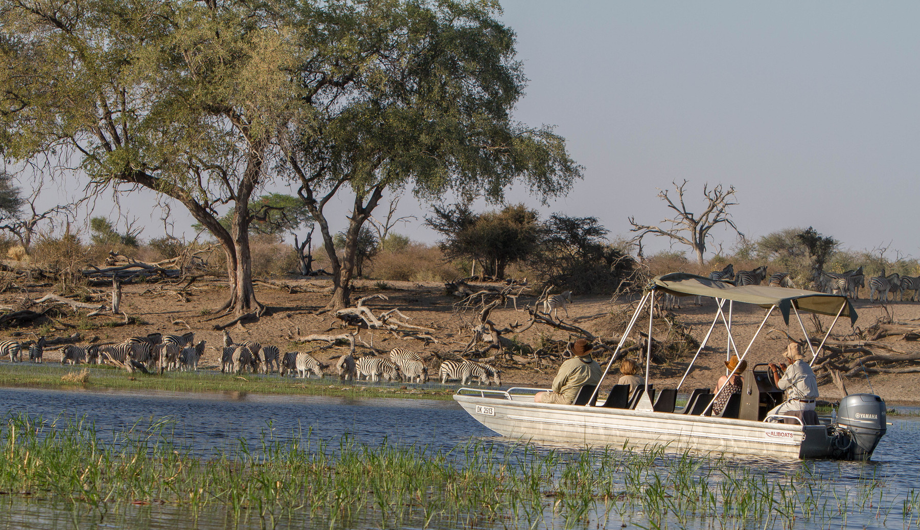 Seasonal boat cruise in Makgadikgadi