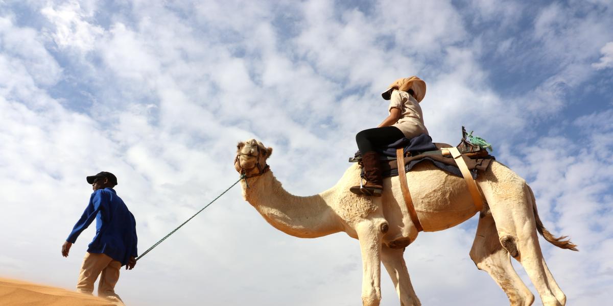 Camel Rides in Kalahari sands