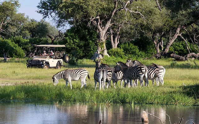 Chobe Game Drive Safari in Kasane