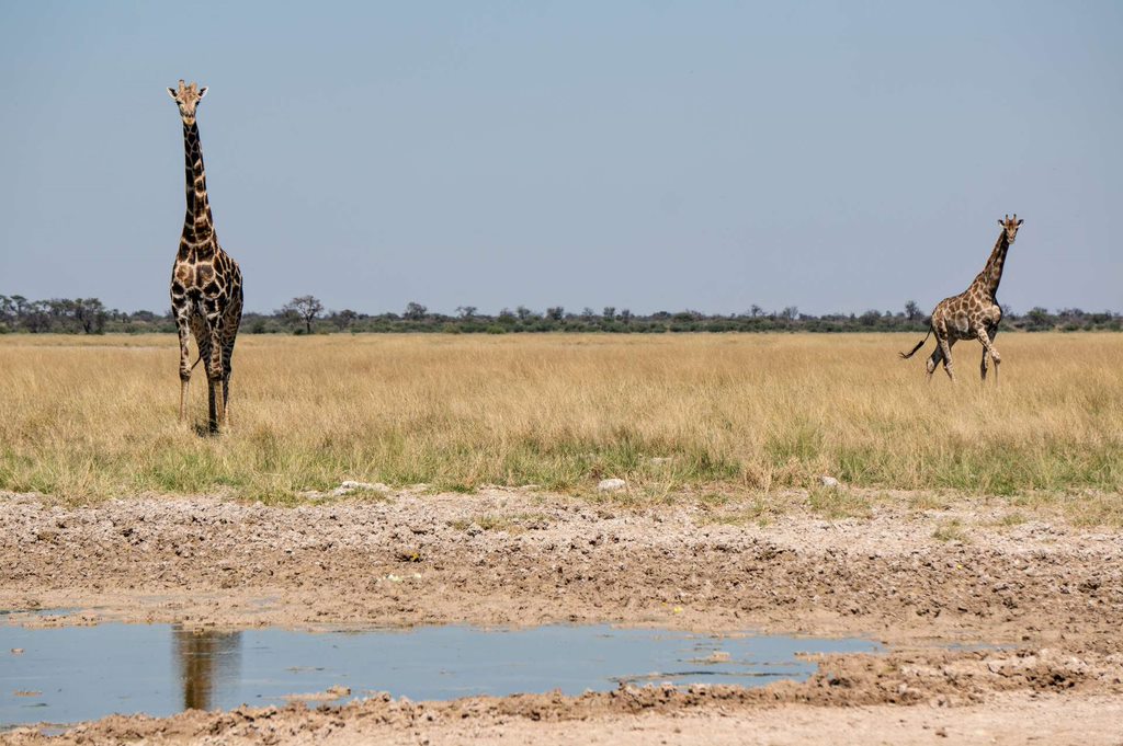 3 Days | Khutse/Central Kalahari Game Reserve