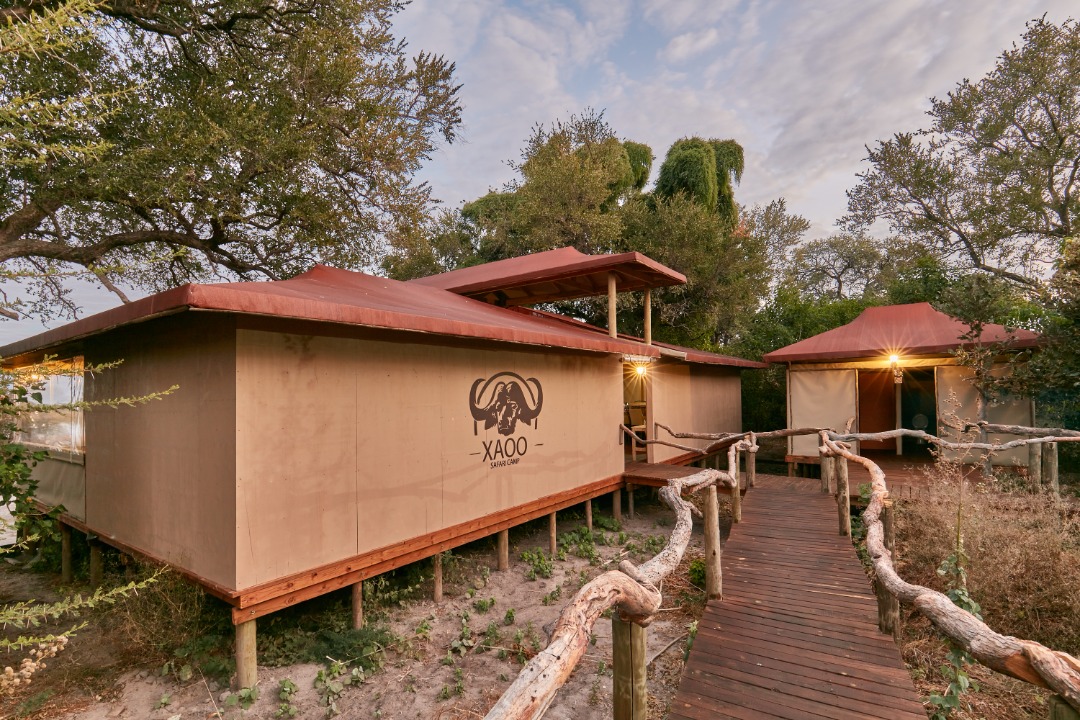 Xaoo Safari Camp