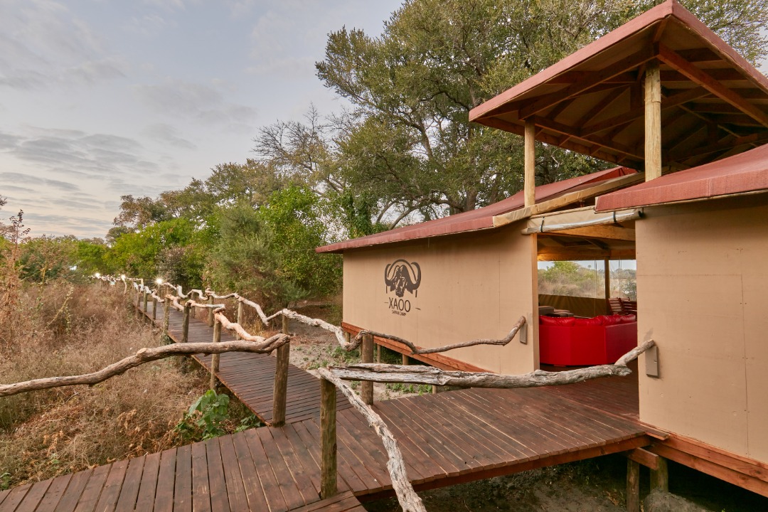 Xaoo Safari Camp