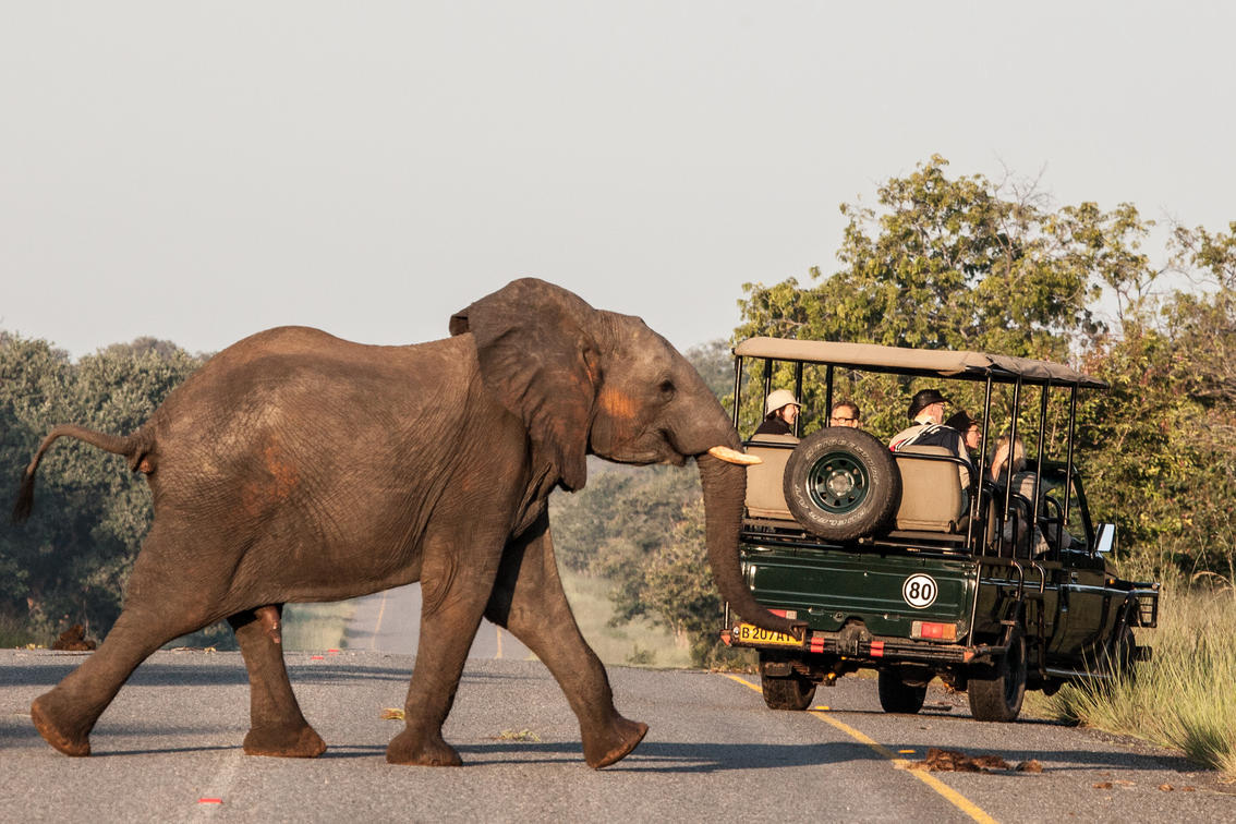 Chobe Safari Lodge