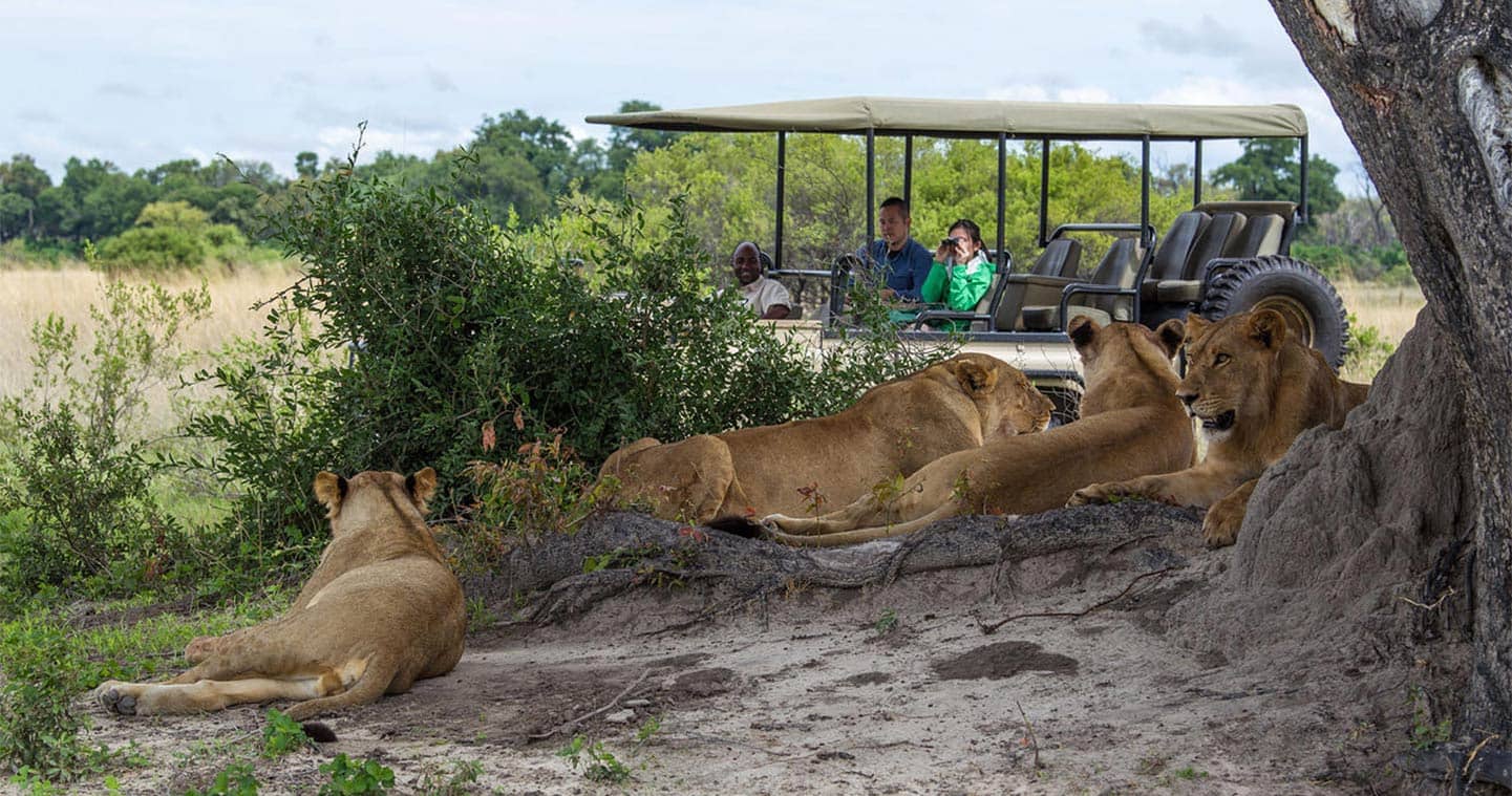 2 Days | Chobe Safari/Bush Lodge