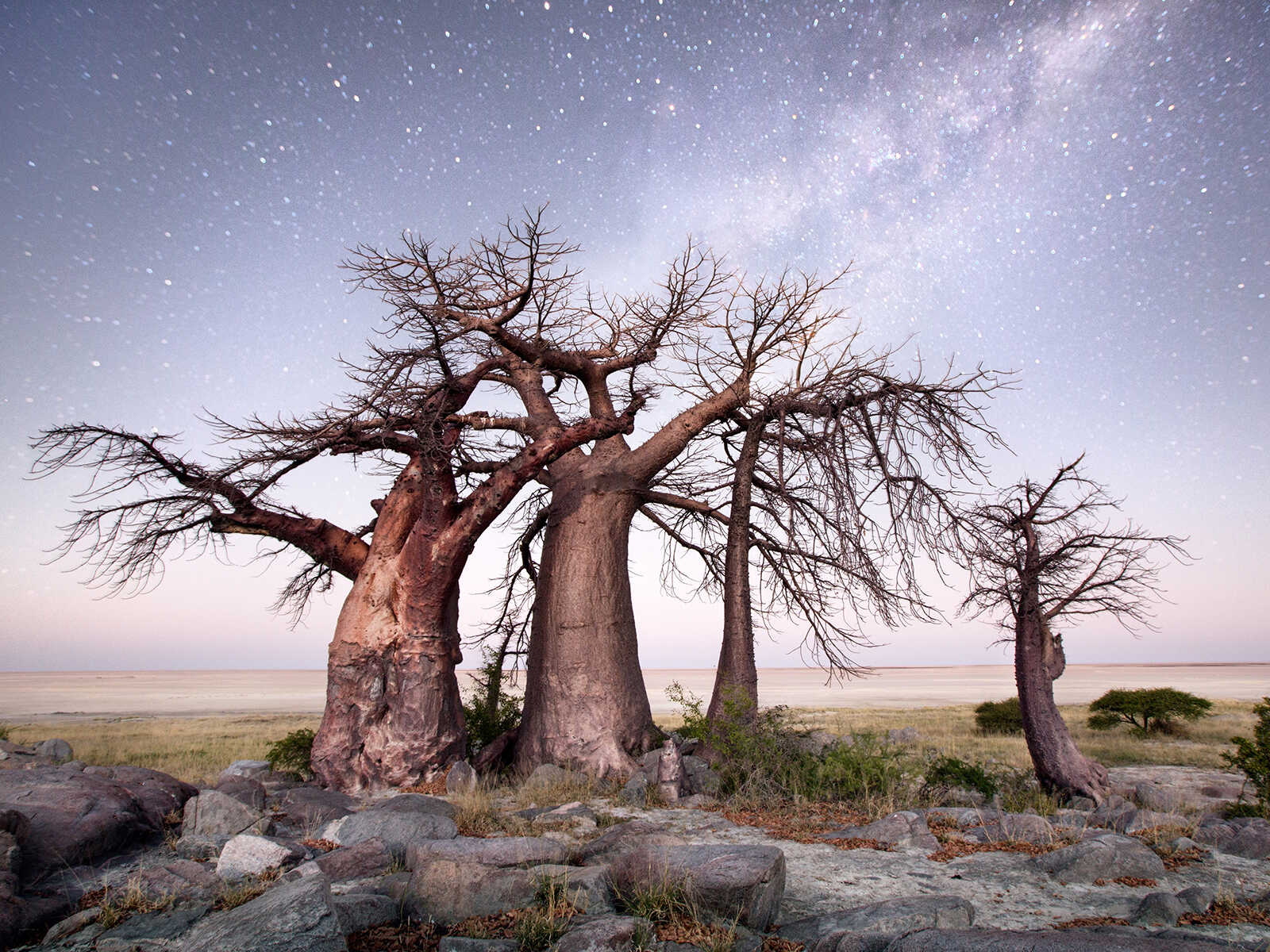 4 Nights | Explore Makgadikgadi Tour