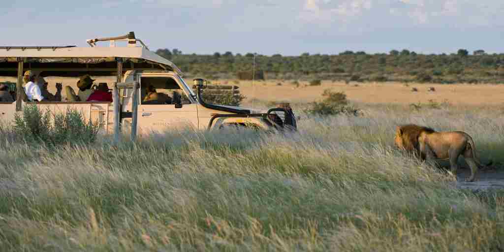 3 Days | Khutse/Central Kalahari Game Reserve