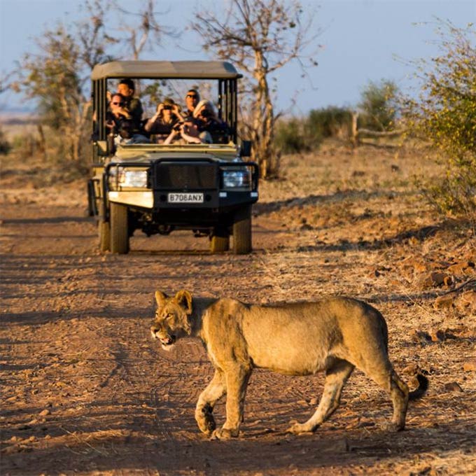 2 Days | Chobe Safari/Bush Lodge