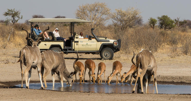 Game Drive Safari at Khutse Game Reserve